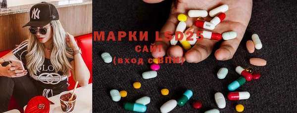 ГАЛЛЮЦИНОГЕННЫЕ ГРИБЫ Алзамай