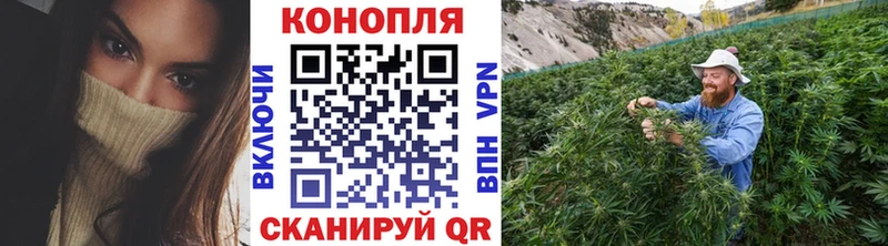 Канабис OG Kush  Аткарск 